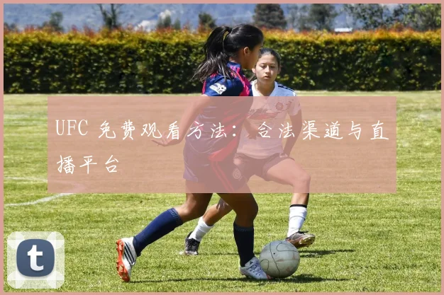 UFC 免费观看方法：合法渠道与直播平台
