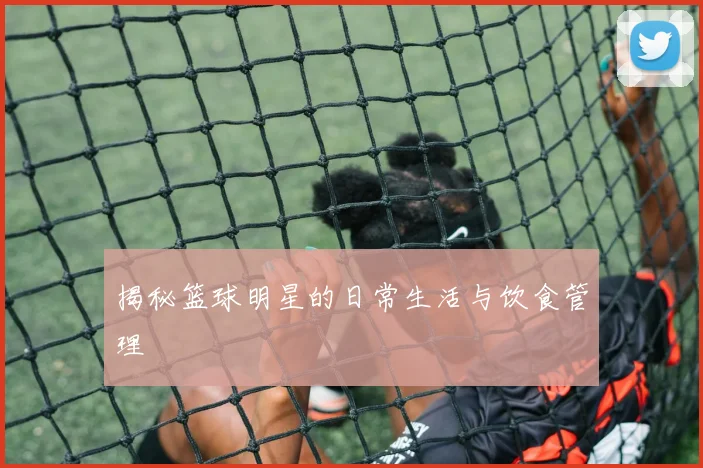 揭秘篮球明星的日常生活与饮食管理