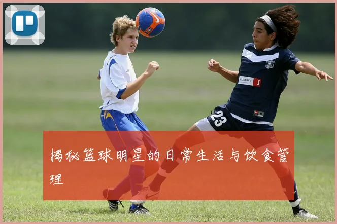 揭秘篮球明星的日常生活与饮食管理